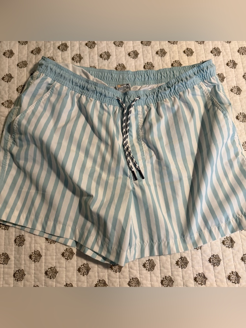 AE swim trunks